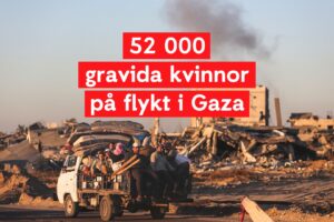 52 000 gravida kvinnor på flykt i Gaza